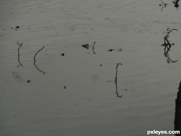 letters in water